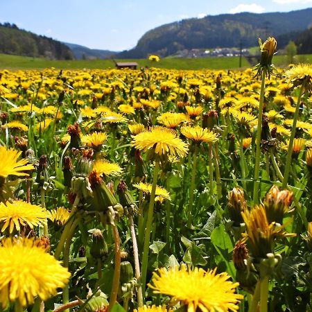 Appartamento Feriendomizil Bergamini Bischoffingen Esterno foto