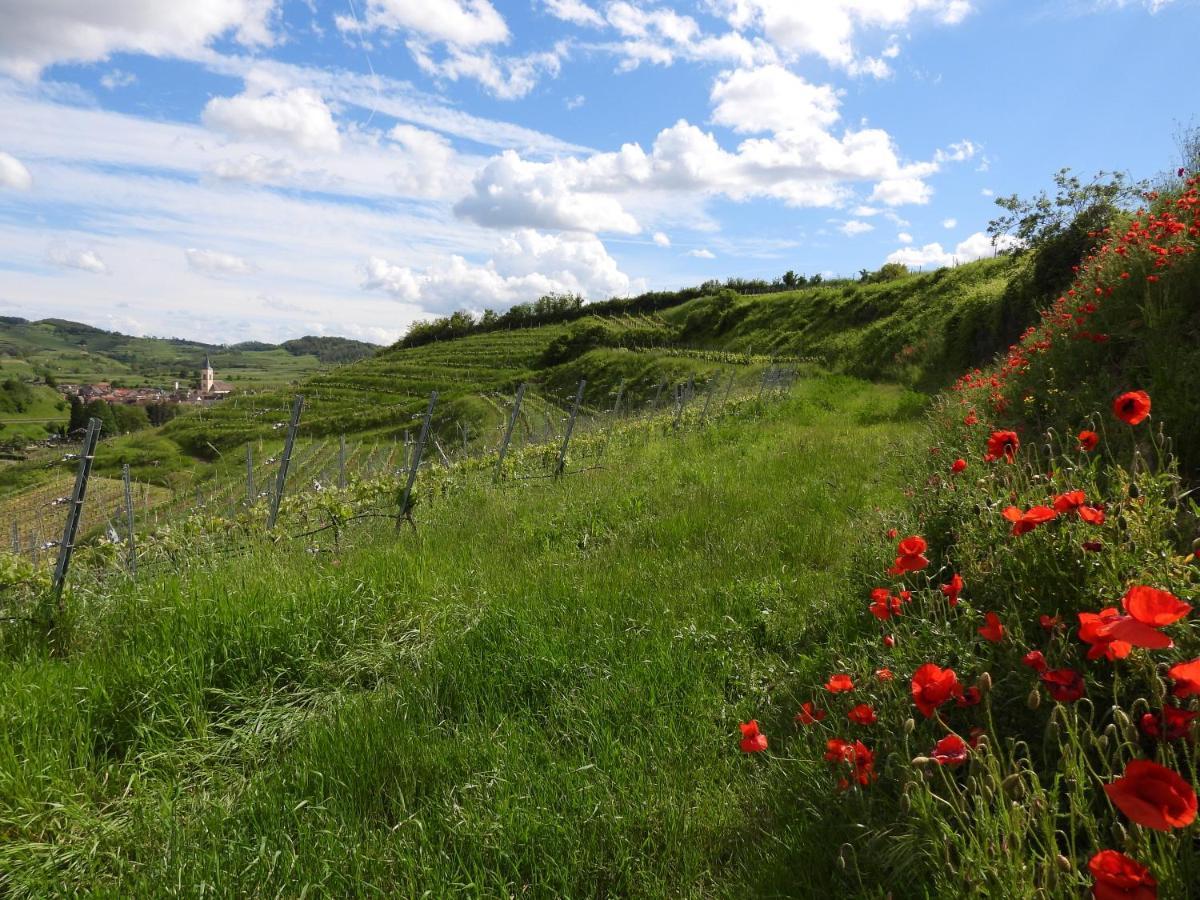 Appartamento Feriendomizil Bergamini Bischoffingen Esterno foto