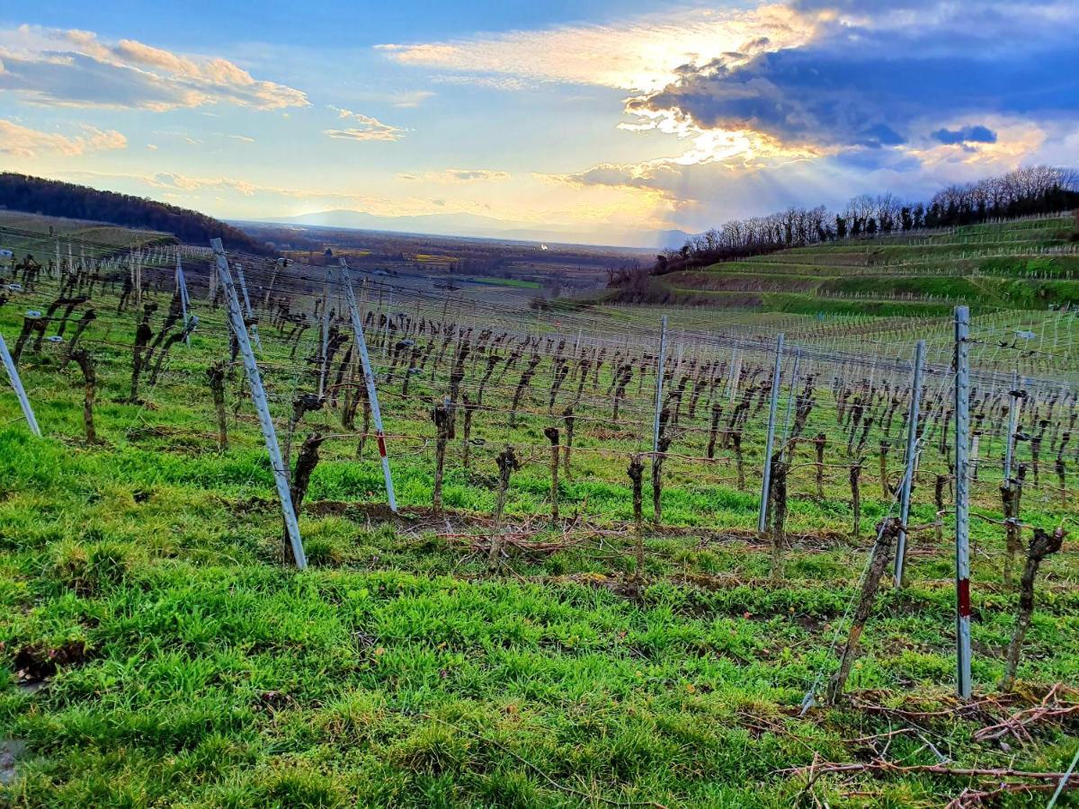 Appartamento Feriendomizil Bergamini Bischoffingen Esterno foto