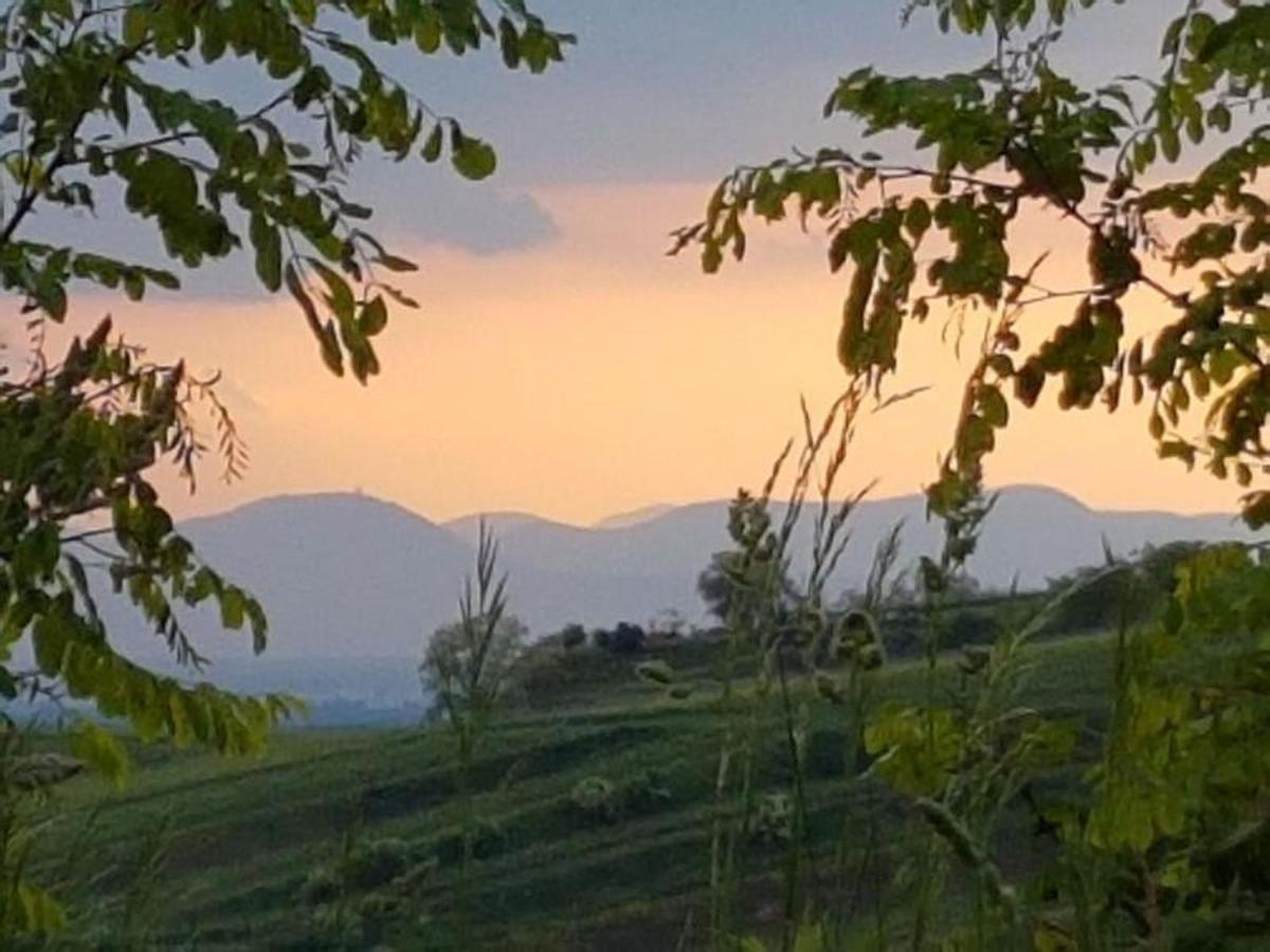 Appartamento Feriendomizil Bergamini Bischoffingen Esterno foto