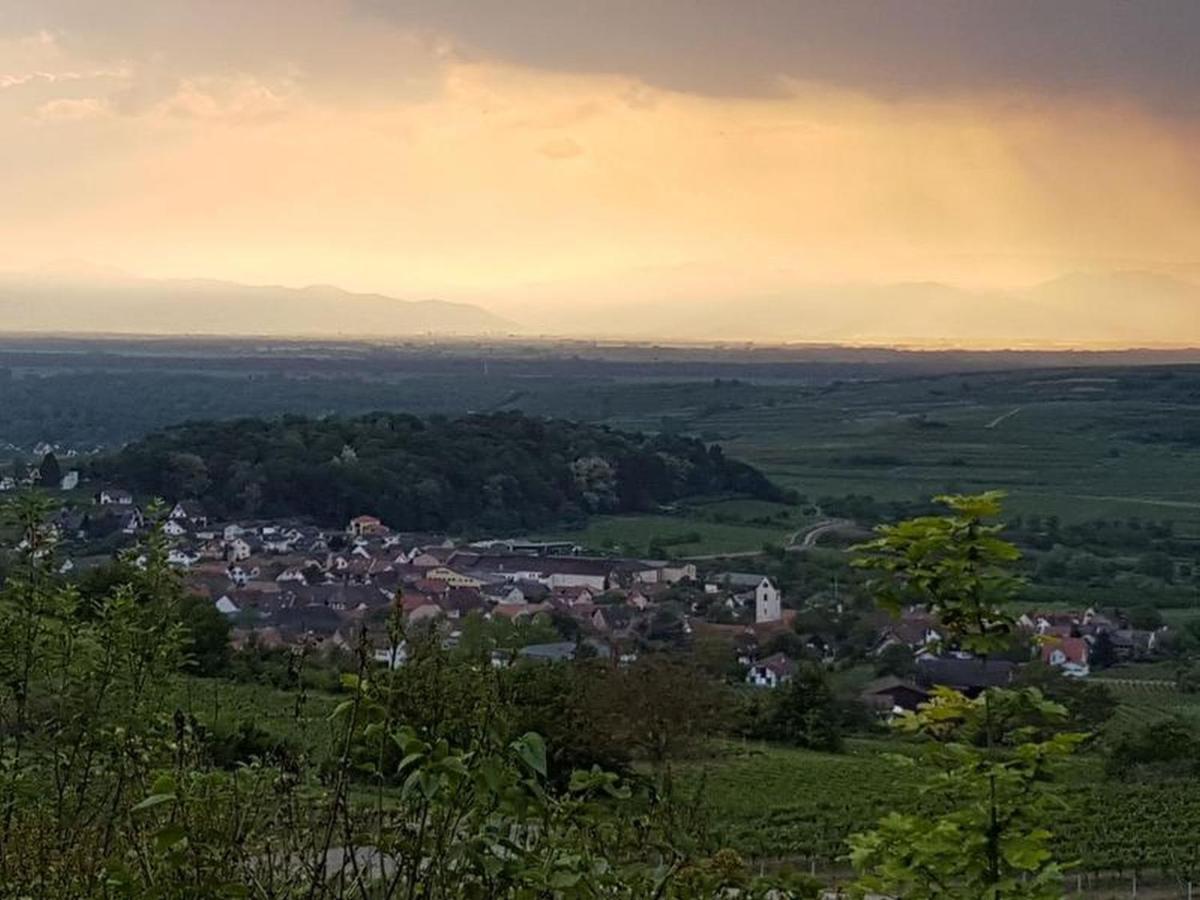 Appartamento Feriendomizil Bergamini Bischoffingen Esterno foto