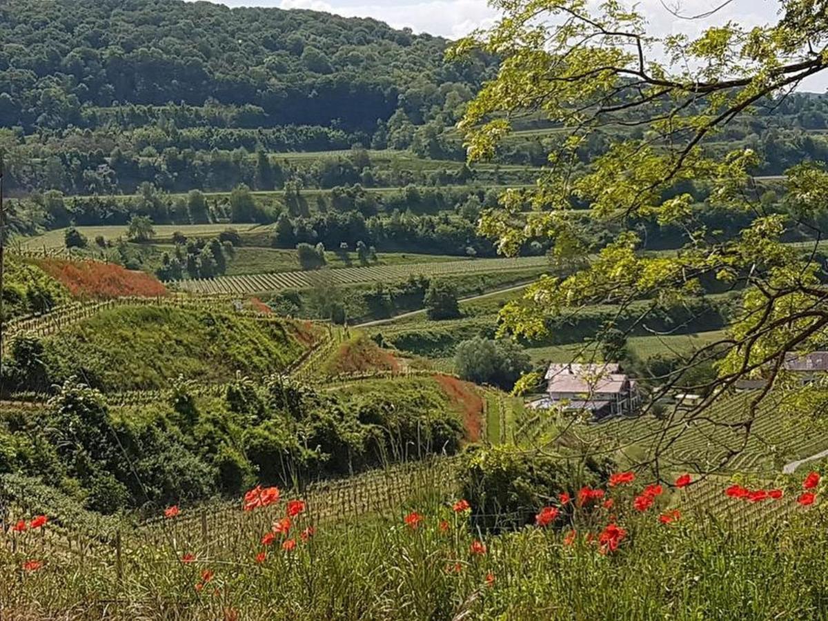 Appartamento Feriendomizil Bergamini Bischoffingen Esterno foto