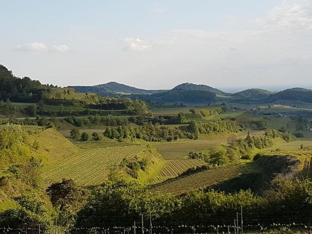 Appartamento Feriendomizil Bergamini Bischoffingen Esterno foto
