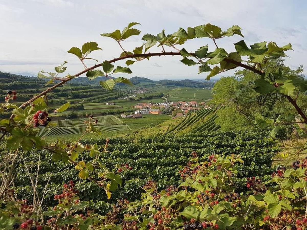 Appartamento Feriendomizil Bergamini Bischoffingen Esterno foto